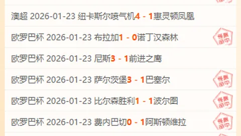 2021-2022意甲联赛第16轮精彩瞬间回顾